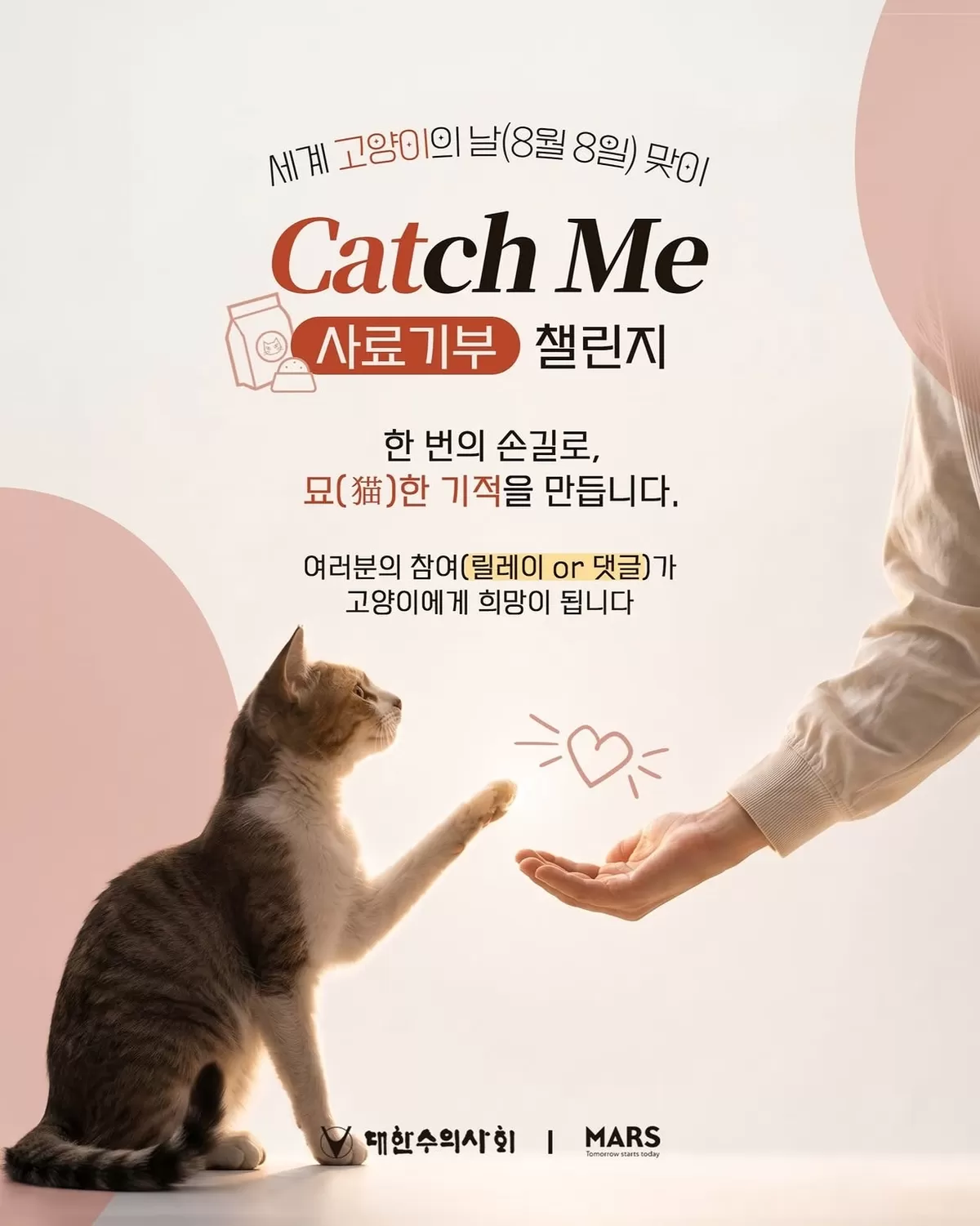 장나라·효린도 ‘캣치미 챌린지’ 참여... 고양이 사료 10톤 기부 달성