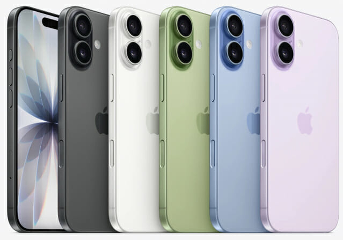 0002433485_001_20260811091812267.jpg