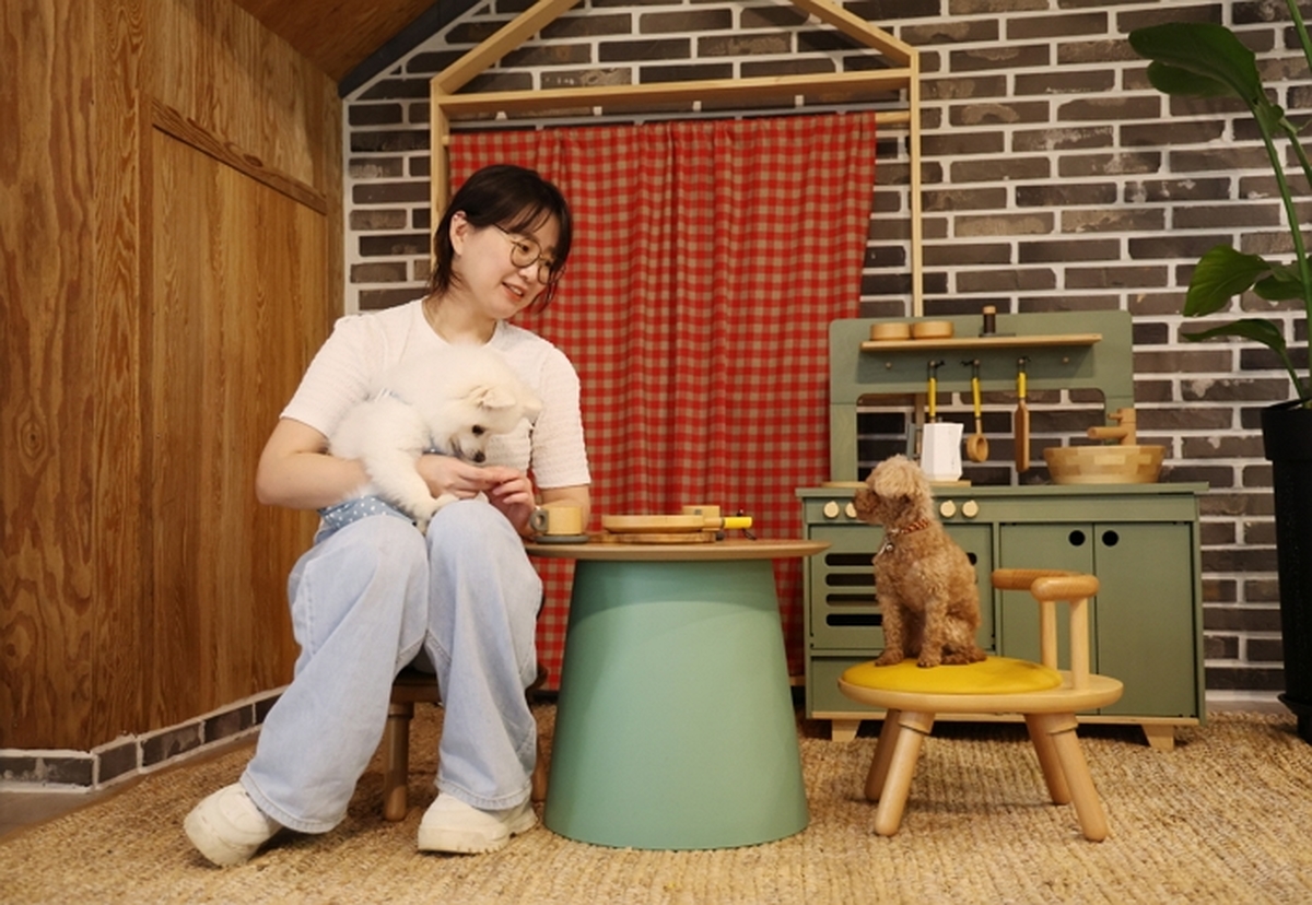 origin_반려동물과눈치없는여행…태안숙박비3만원깎아준다.jpg