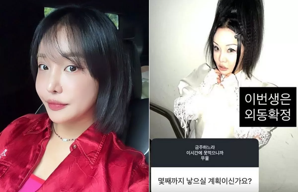 인사이트