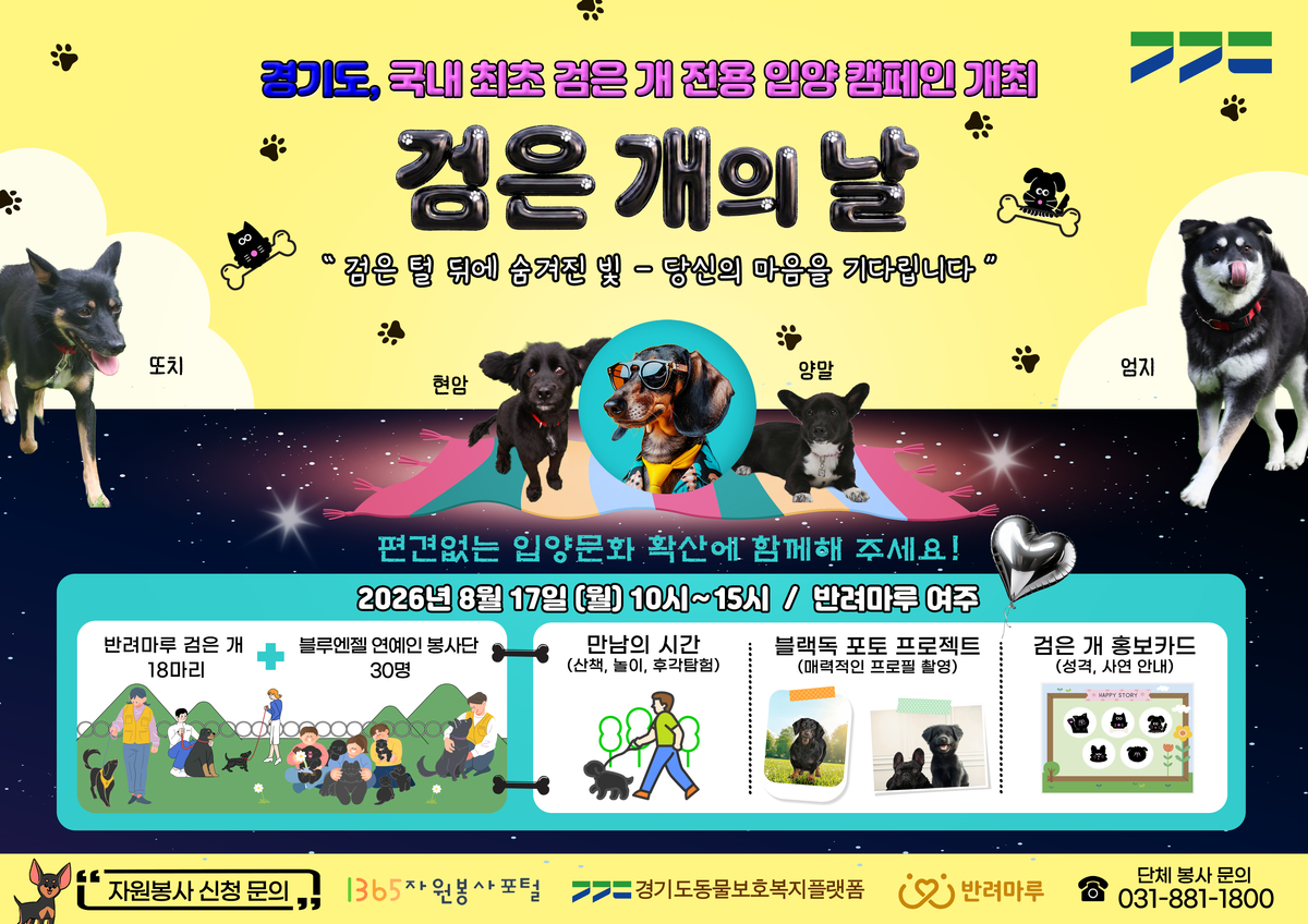 검정개 특별 입양행사인 ‘검은개의 날’ 포스터. / 사진=경기도