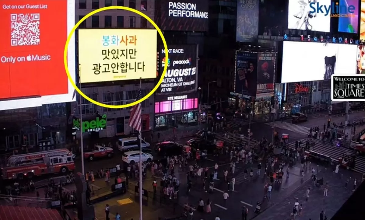 인사이트