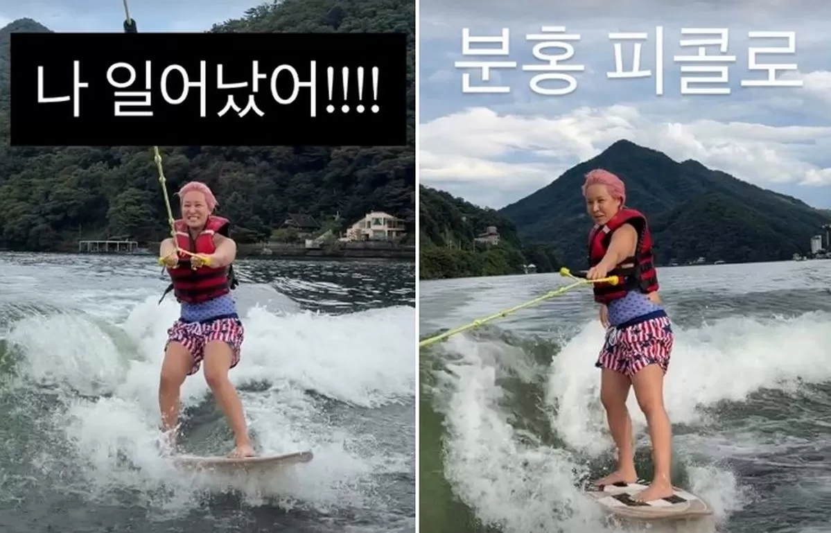 인사이트