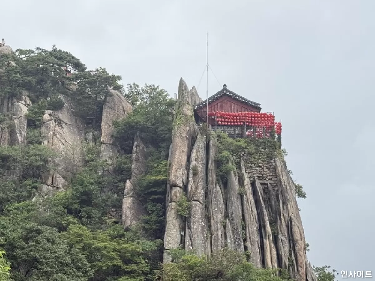 인사이트