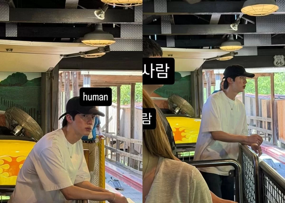 인사이트