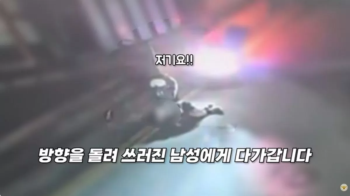 인사이트