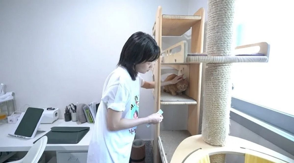 ‘전참시’ 하윤경, 방송 최초 집 공개... 내장탕 낮술 일상