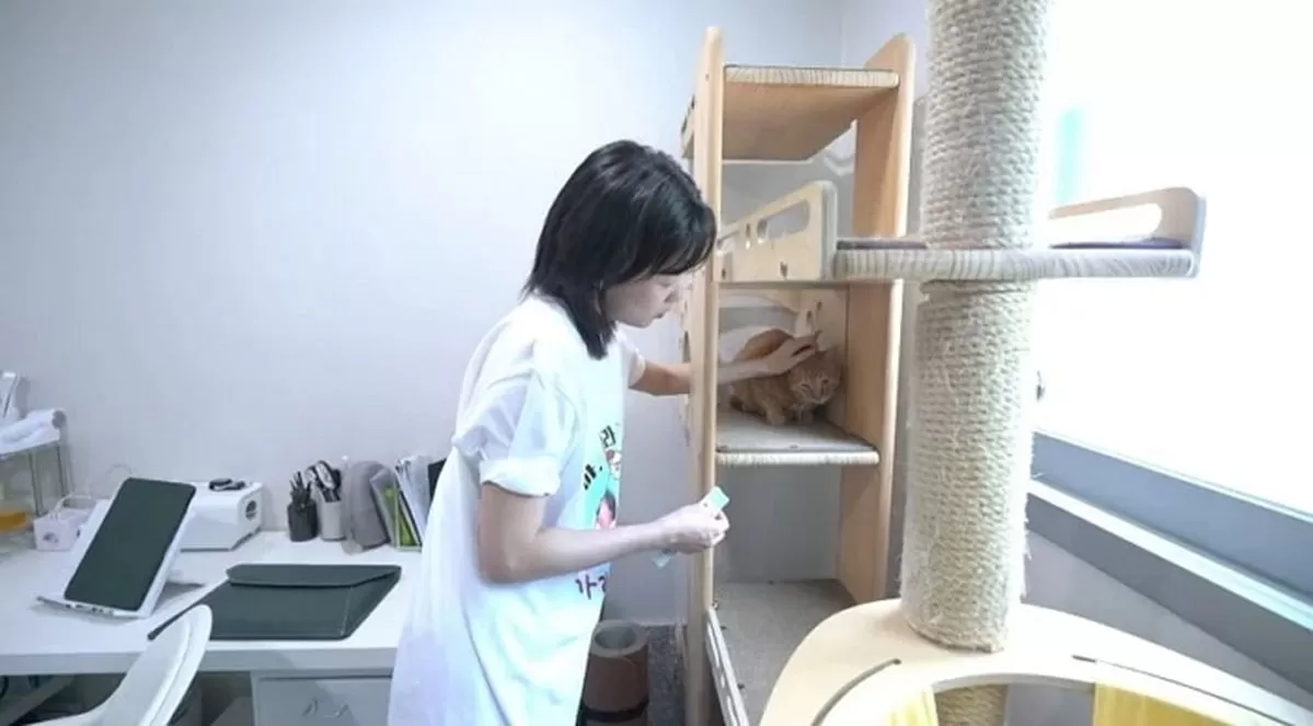 인사이트