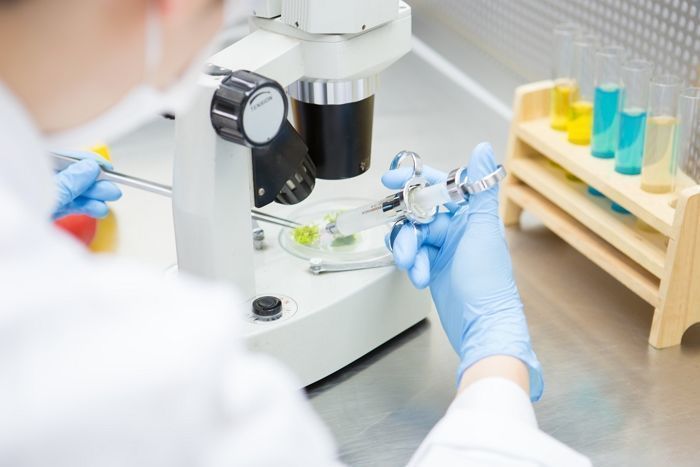 5대 제약사, 신약 개발 본격화... 상반기 R&D 5600억 투입