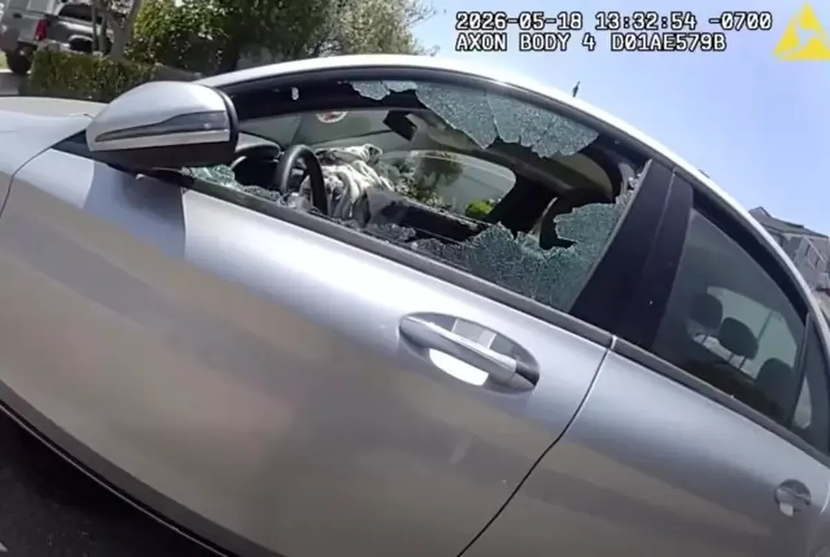 A broken car window with shattered glass.