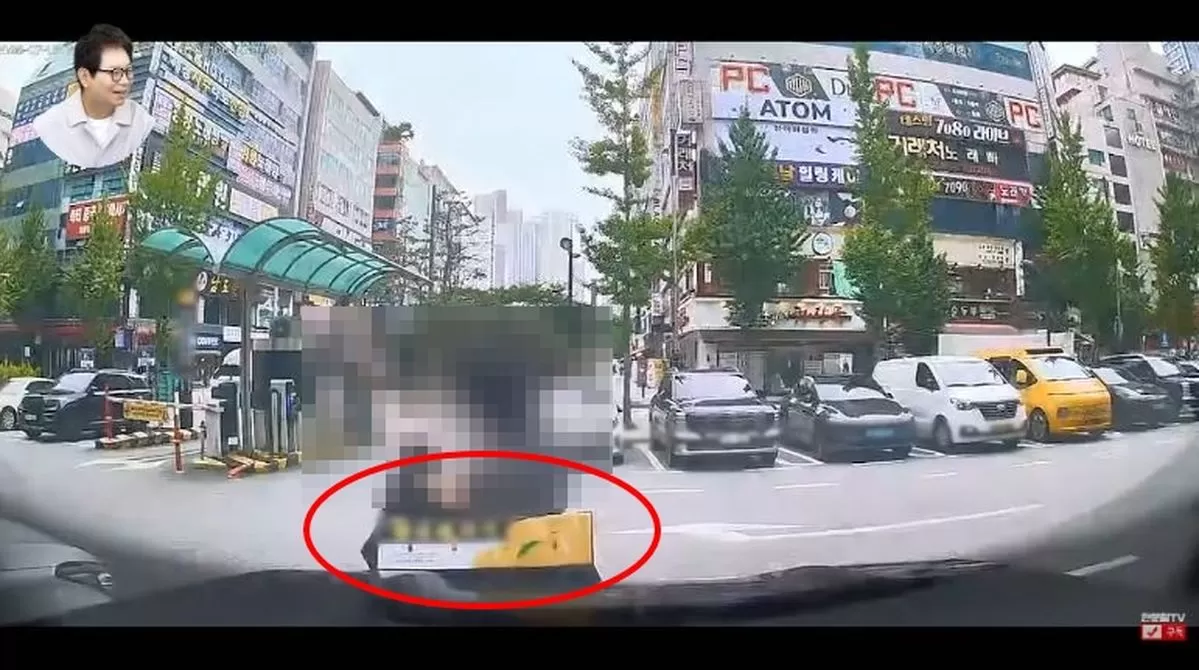 인사이트
