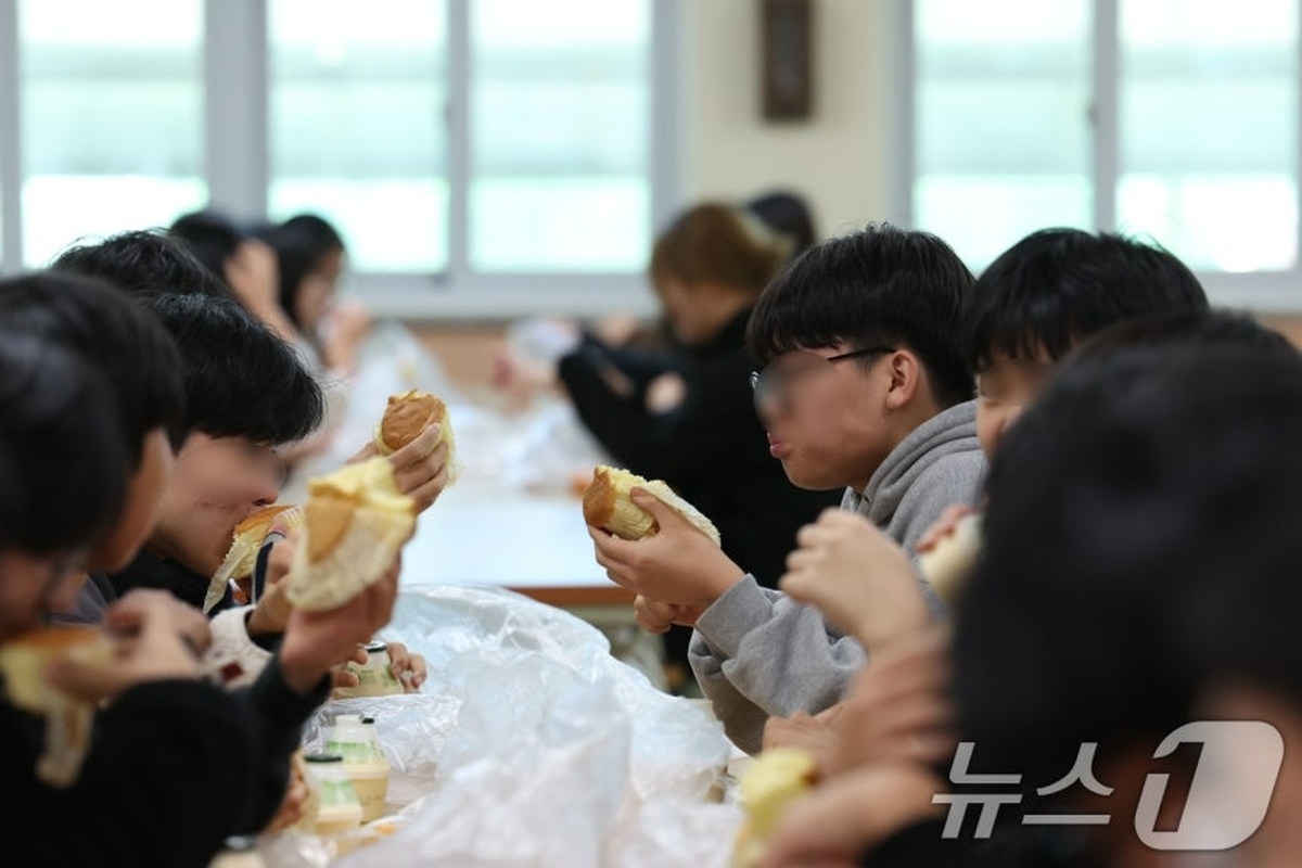 뉴스1