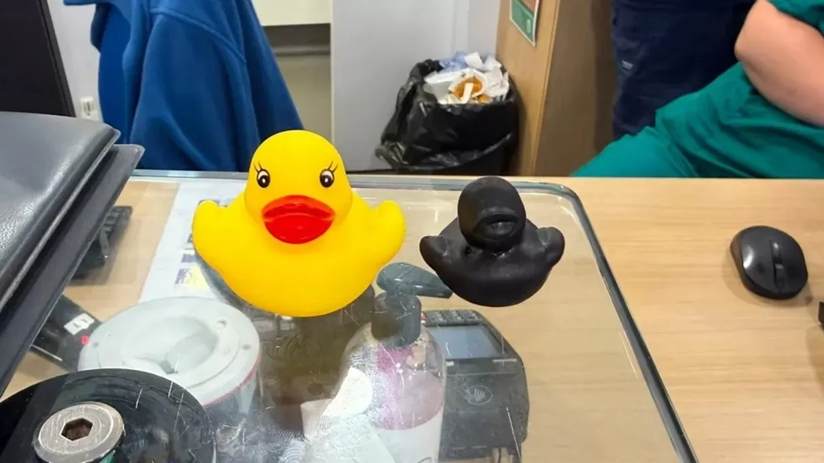 Libby Burgwin A large yellow rubber duck with a red beak, and next to it is a much smaller, compl...