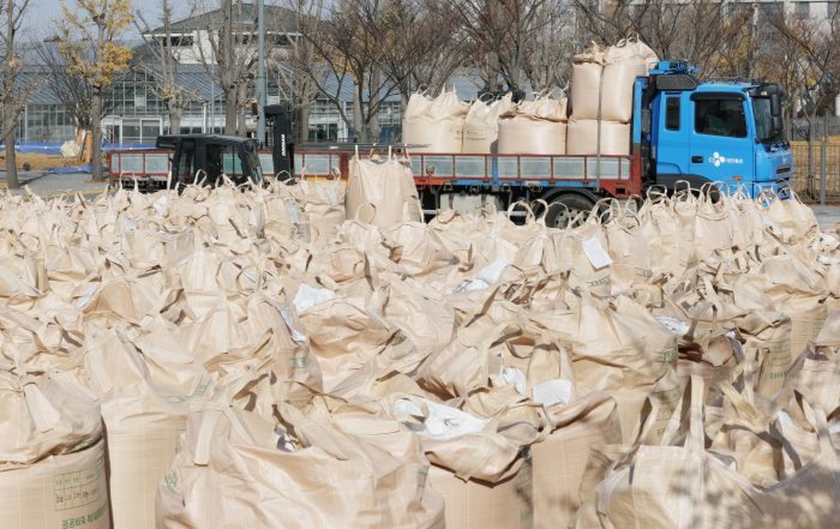 정부, 공공비축미 40만톤 매입… 포대당 중간정산금 6만원 인상