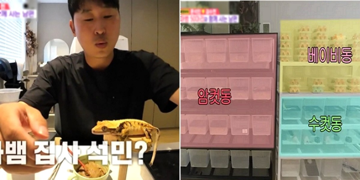 '<b>도마뱀</b> 50마리 집사' <b>윤석민</b>, 700만원짜리 '최애' 공개... "나머지도 명...