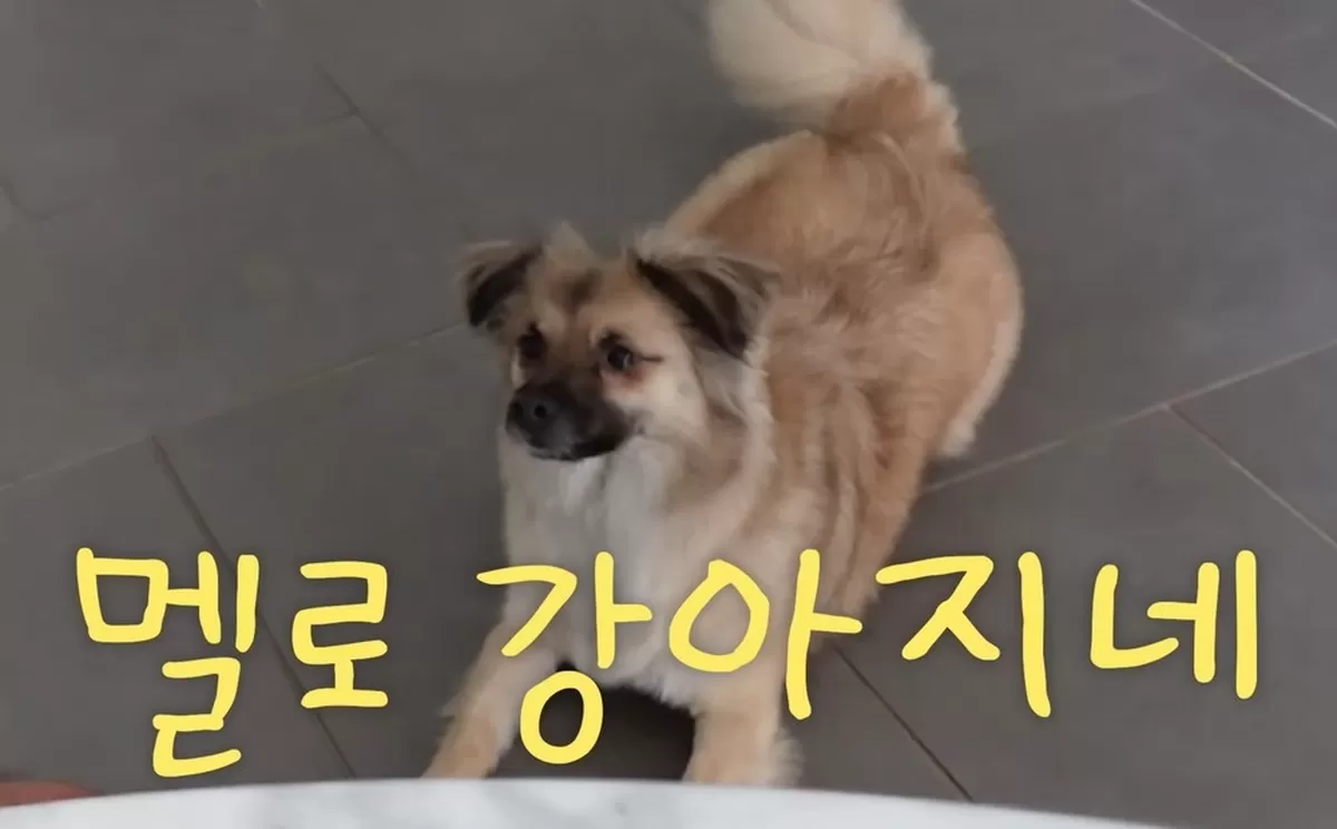 기존 이미지