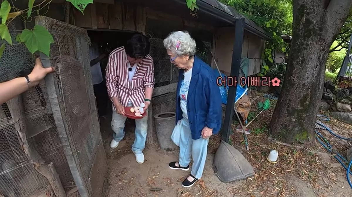 인사이트