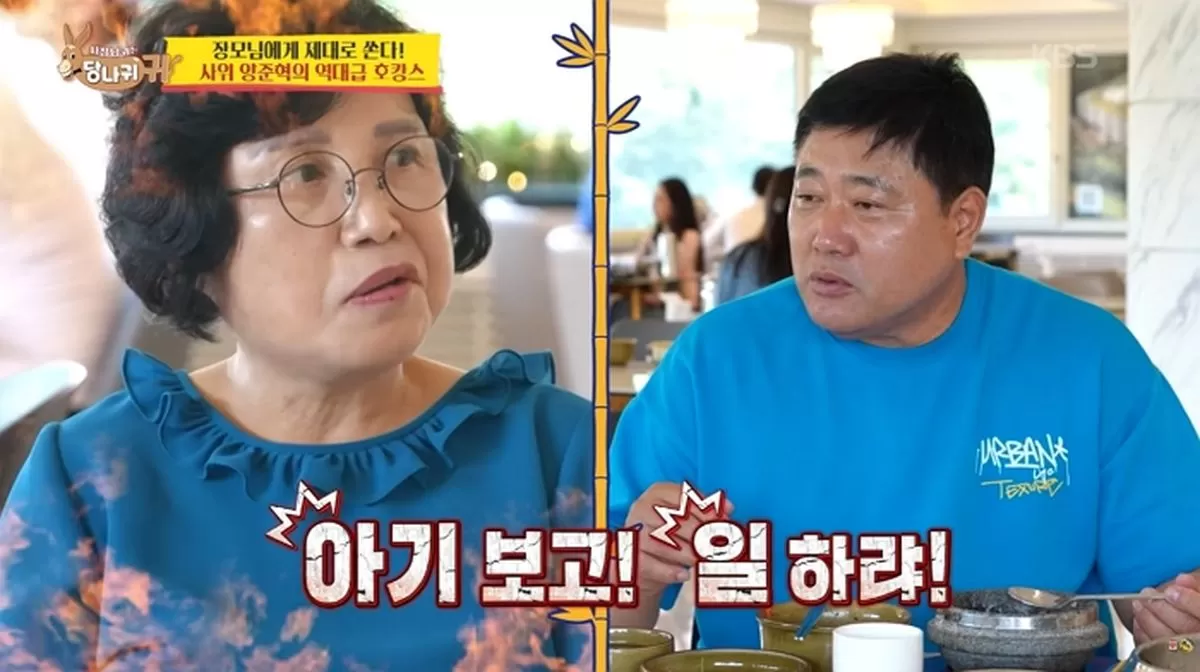 인사이트