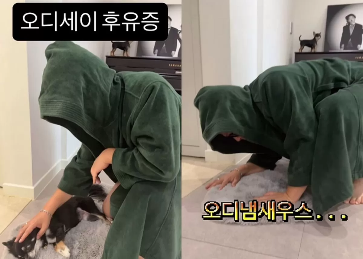인사이트