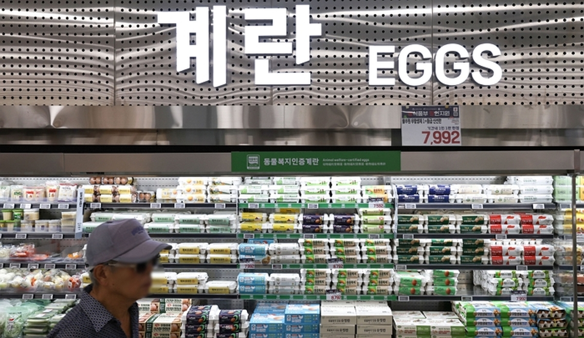 origin_생산량늘어도계란값은‘고공행진’.jpg