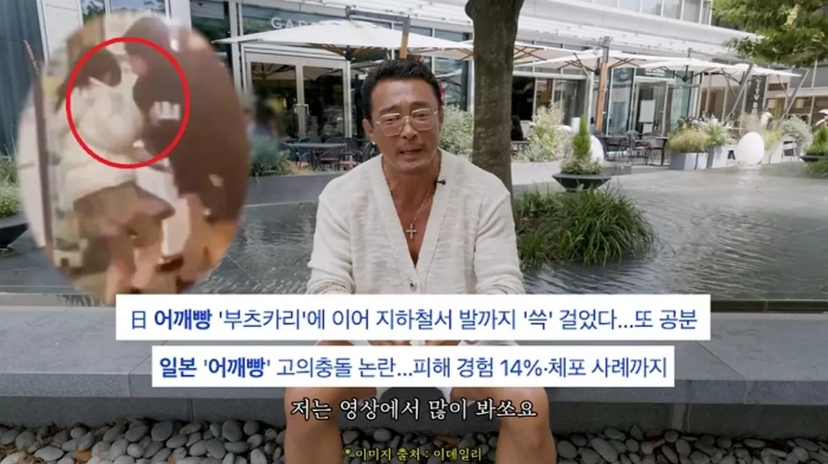 인사이트