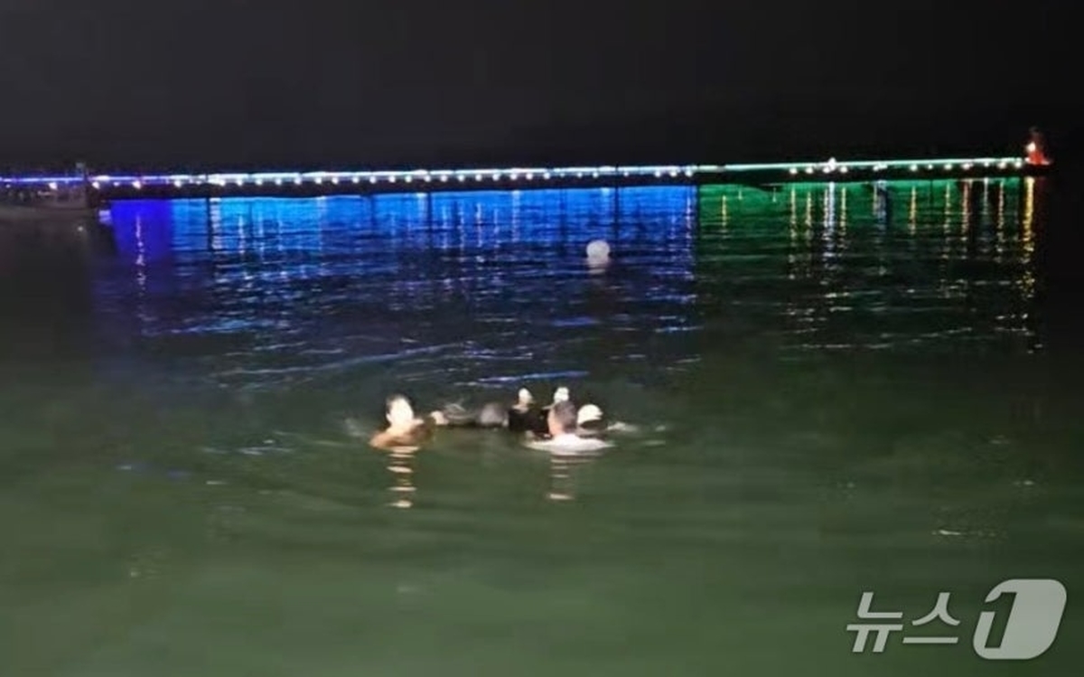 음주 측정 거부 4km 도주 끝 바다 추락한 30대 4분 만에 구조