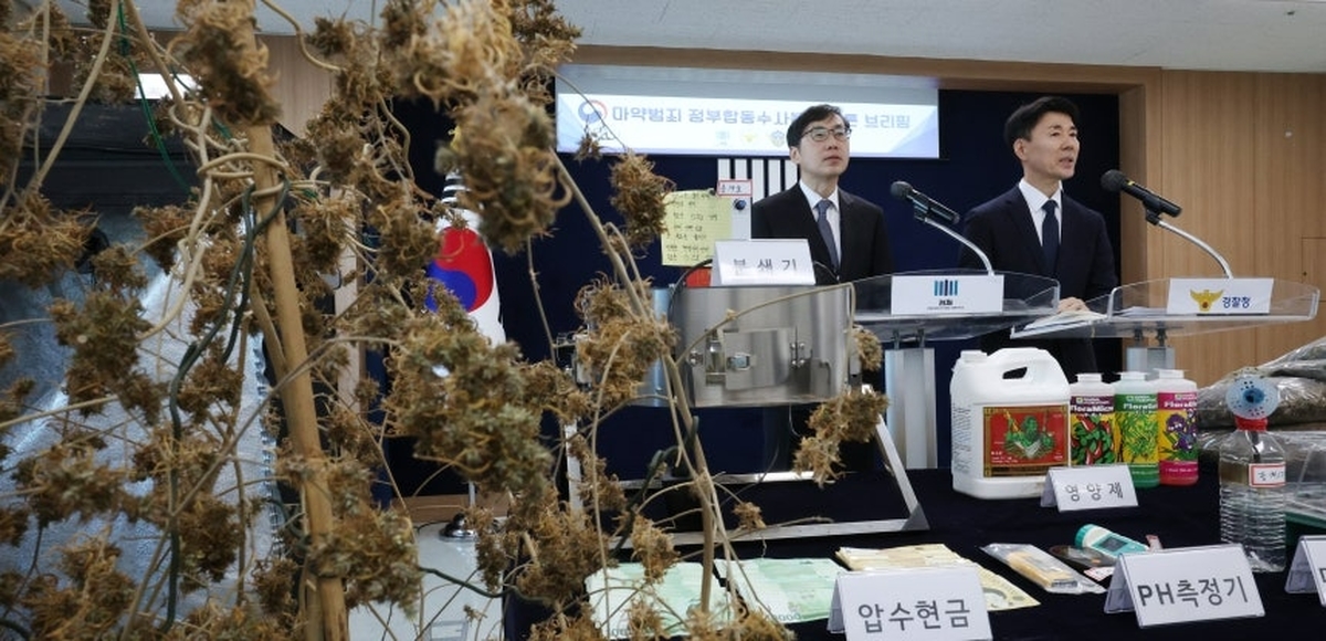 뉴스1