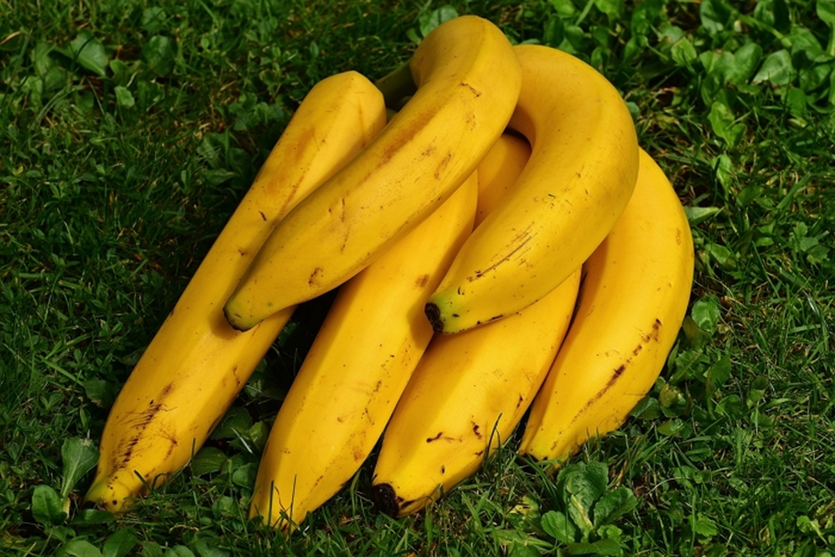 alexas_fotos-bananas-1642706.jpg