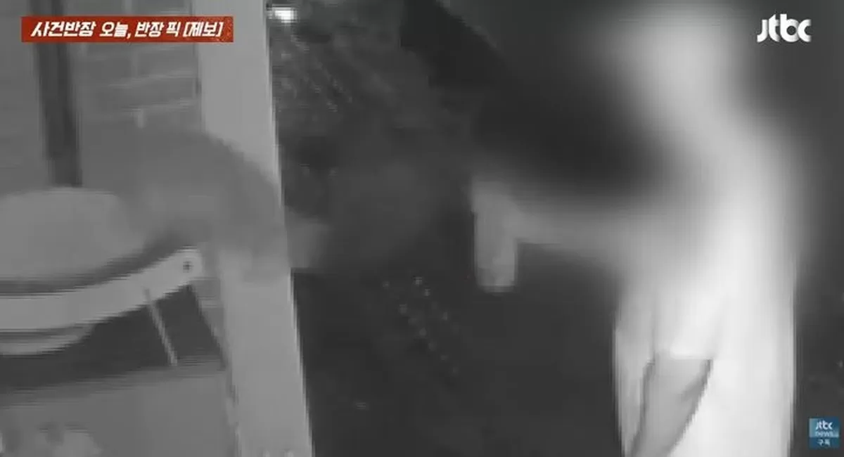 [서울=뉴시스] 한 남성이 고양이를 향해 스프레이를 뿌리는 모습. (사진=JTBC 사건반장 캡처) *재판매 및 DB 금지