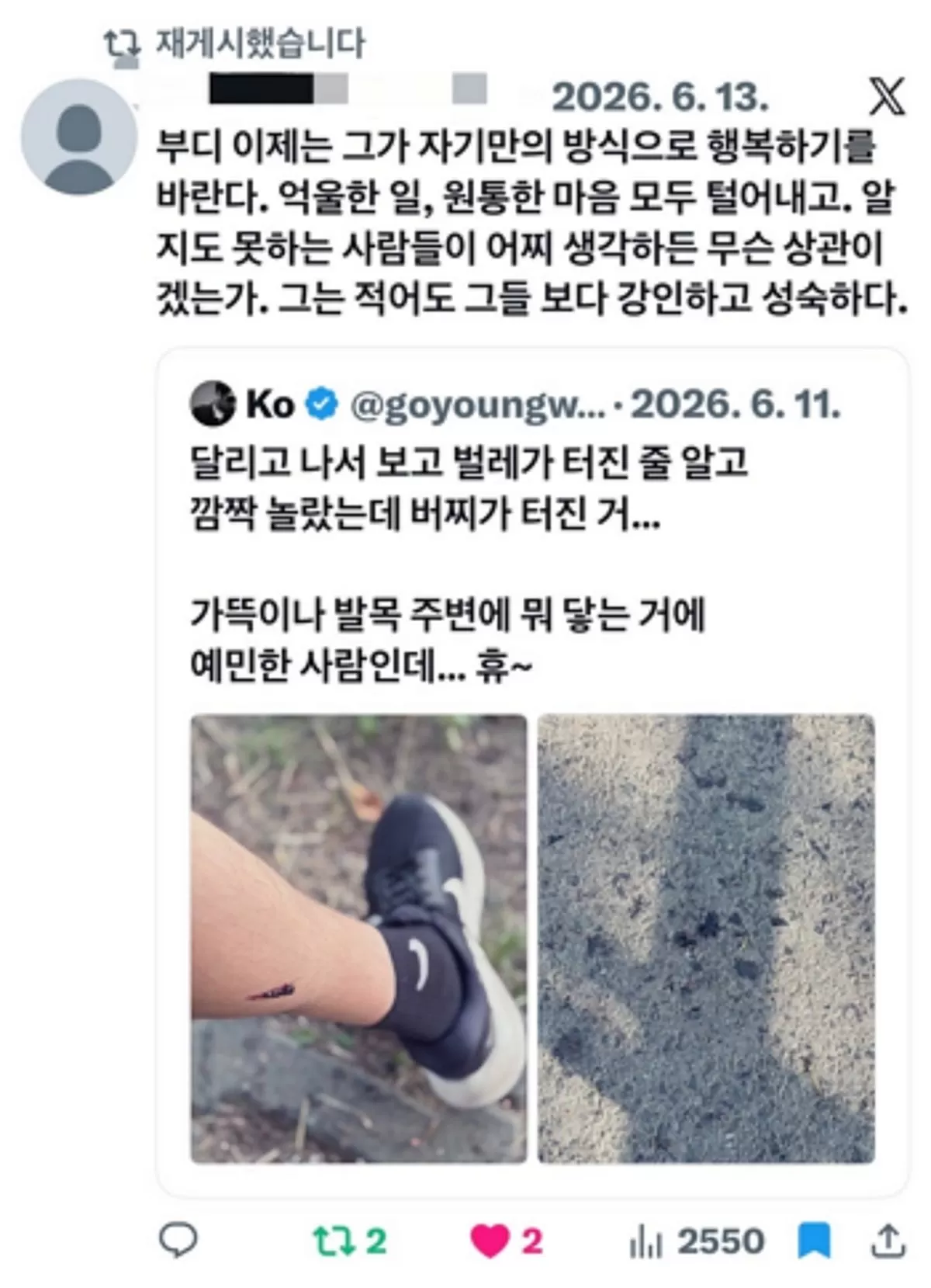 인사이트
