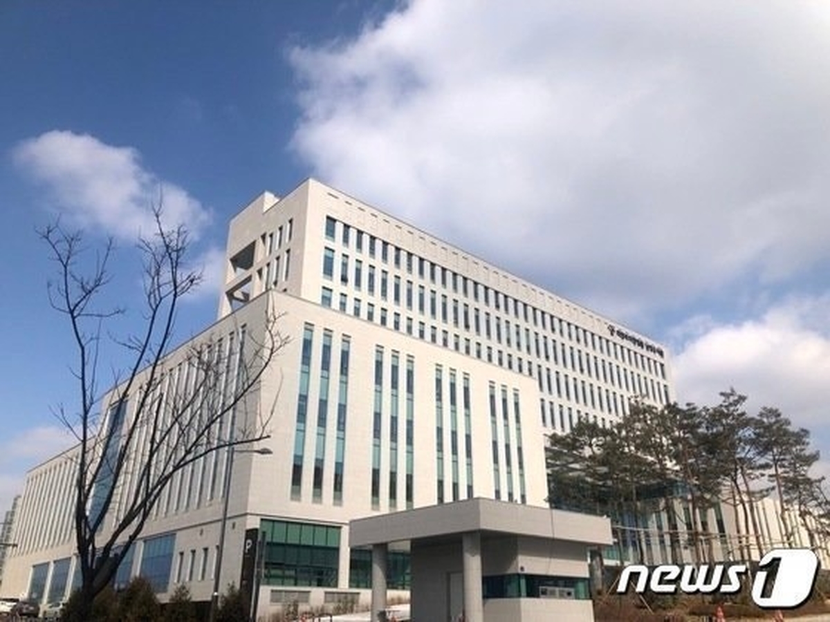 뉴스1