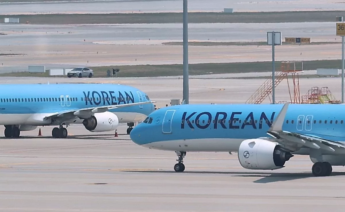 뉴스1
