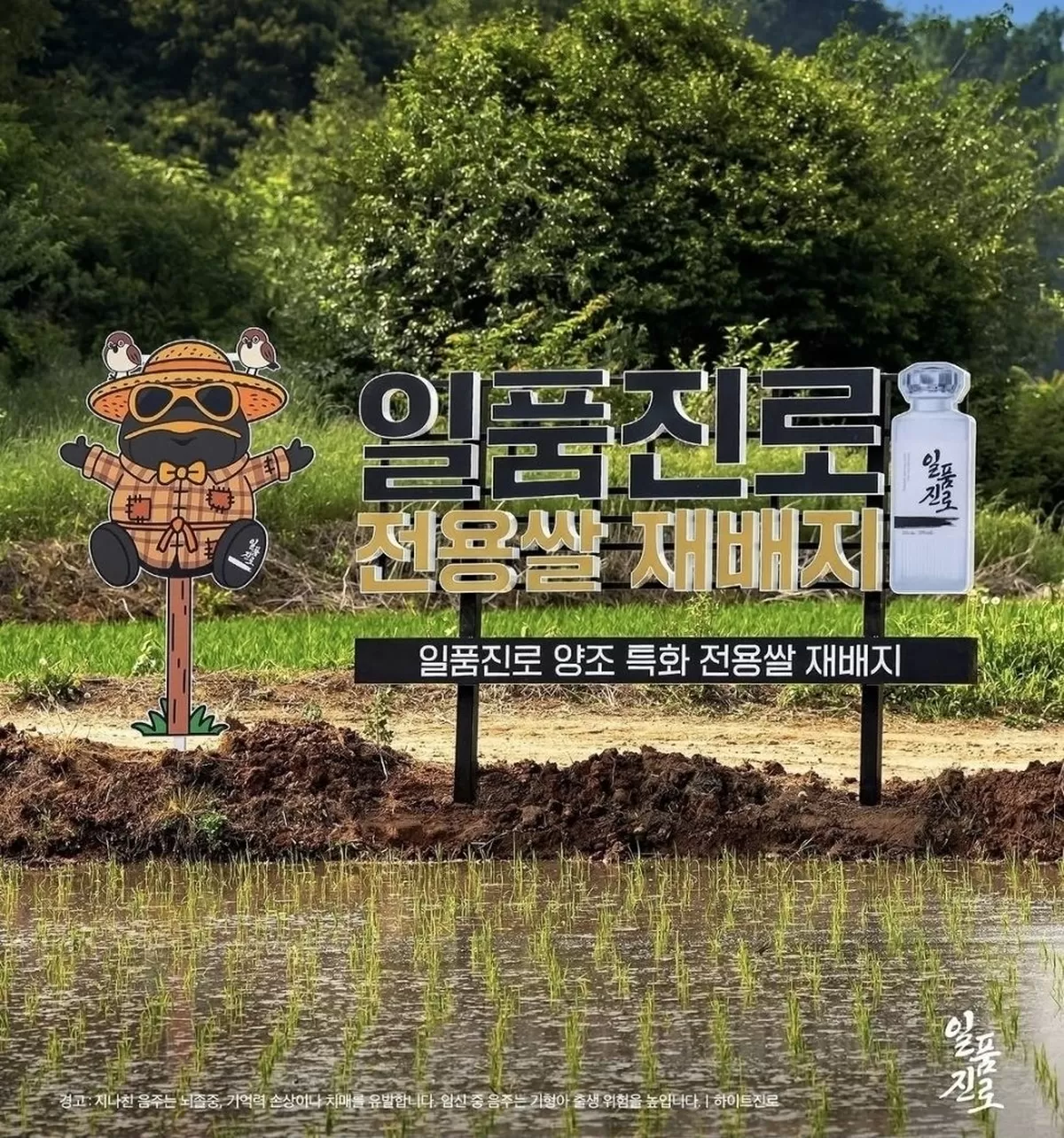 하이트진로, 자체 개발한 ‘소주 전용쌀’로 만든 ‘일품진로 1924 헤리티지’ 출시