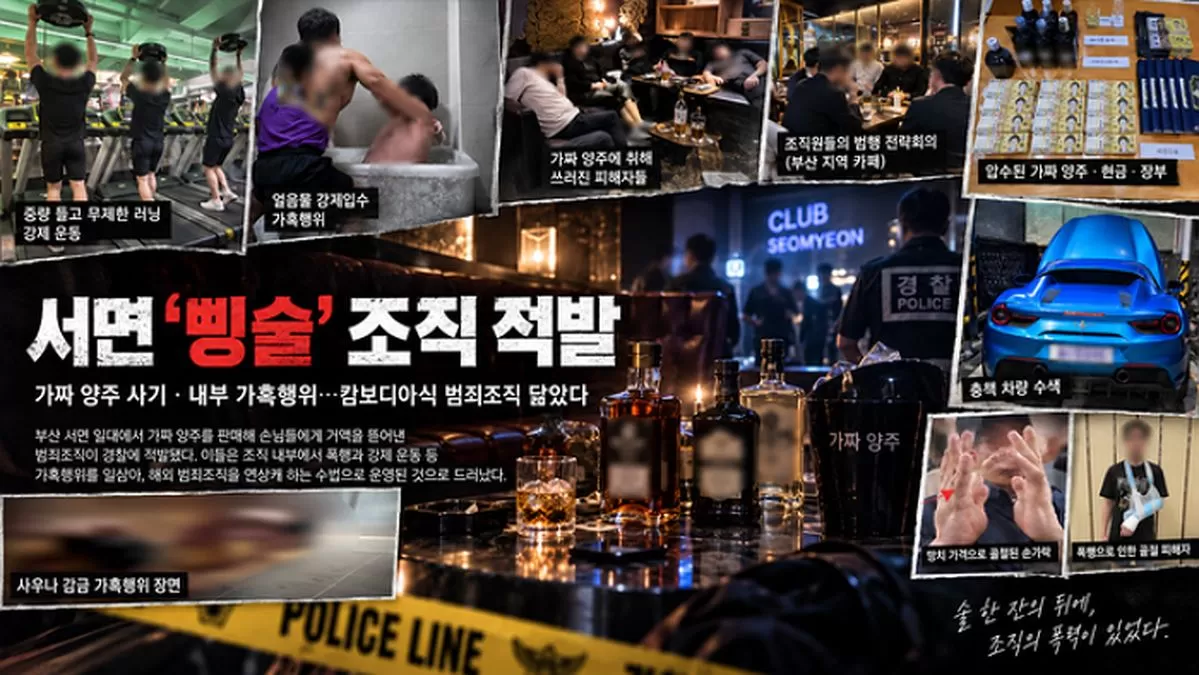 인사이트