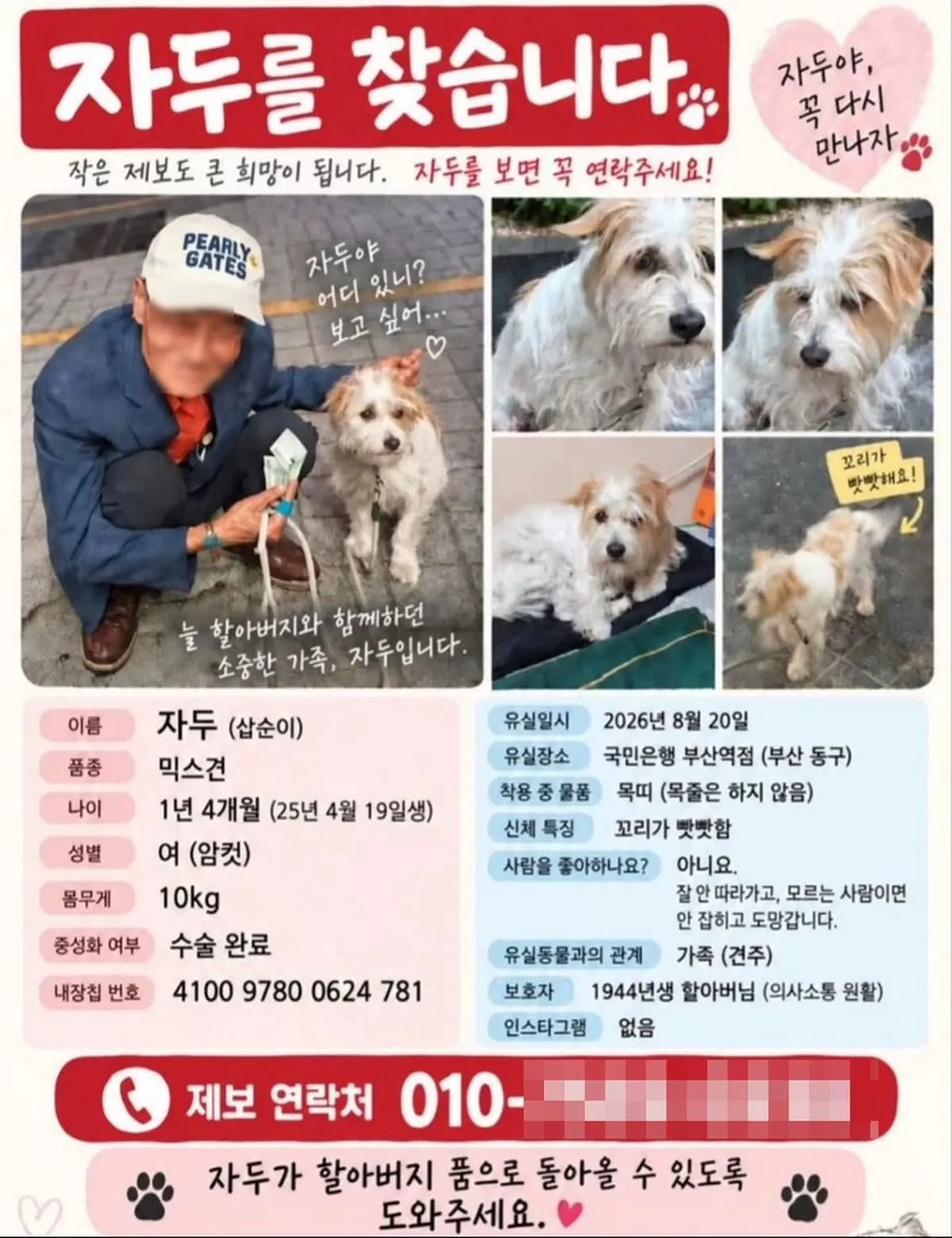 “자두야 꼭 다시 만나자” 할아버지의 애절한 마음 담긴 실종 전단지
