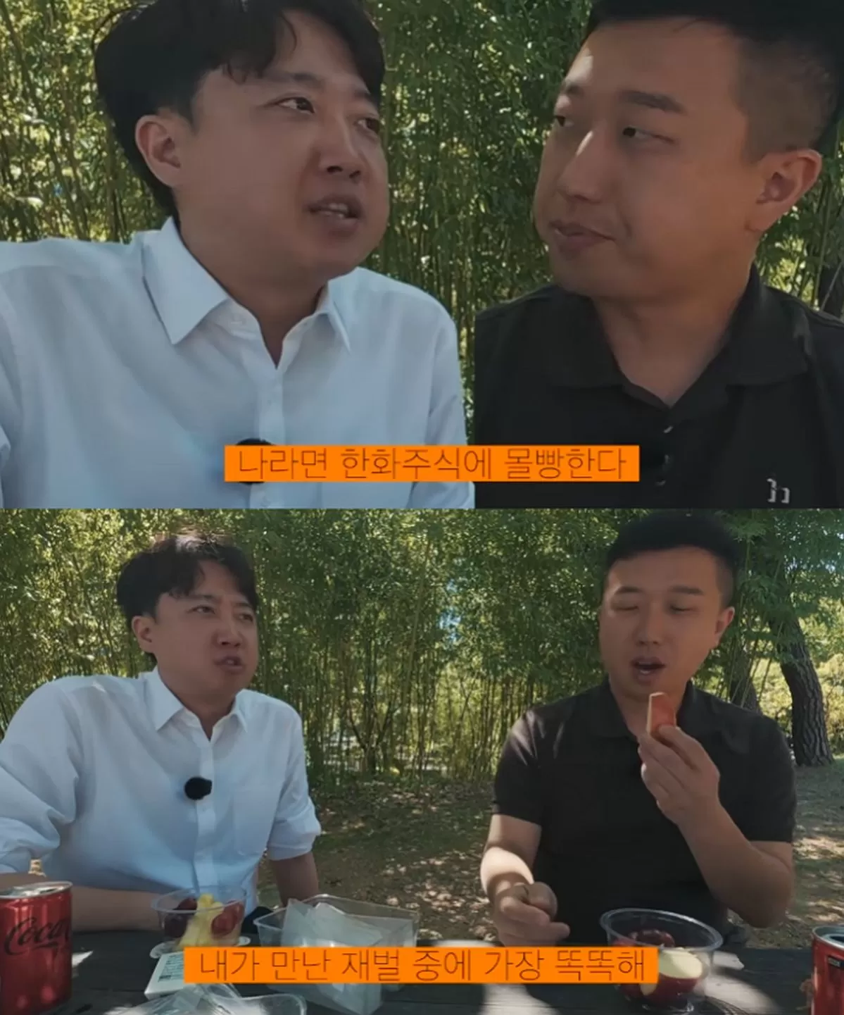 인사이트