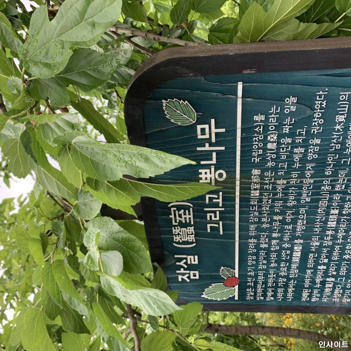 기존 이미지