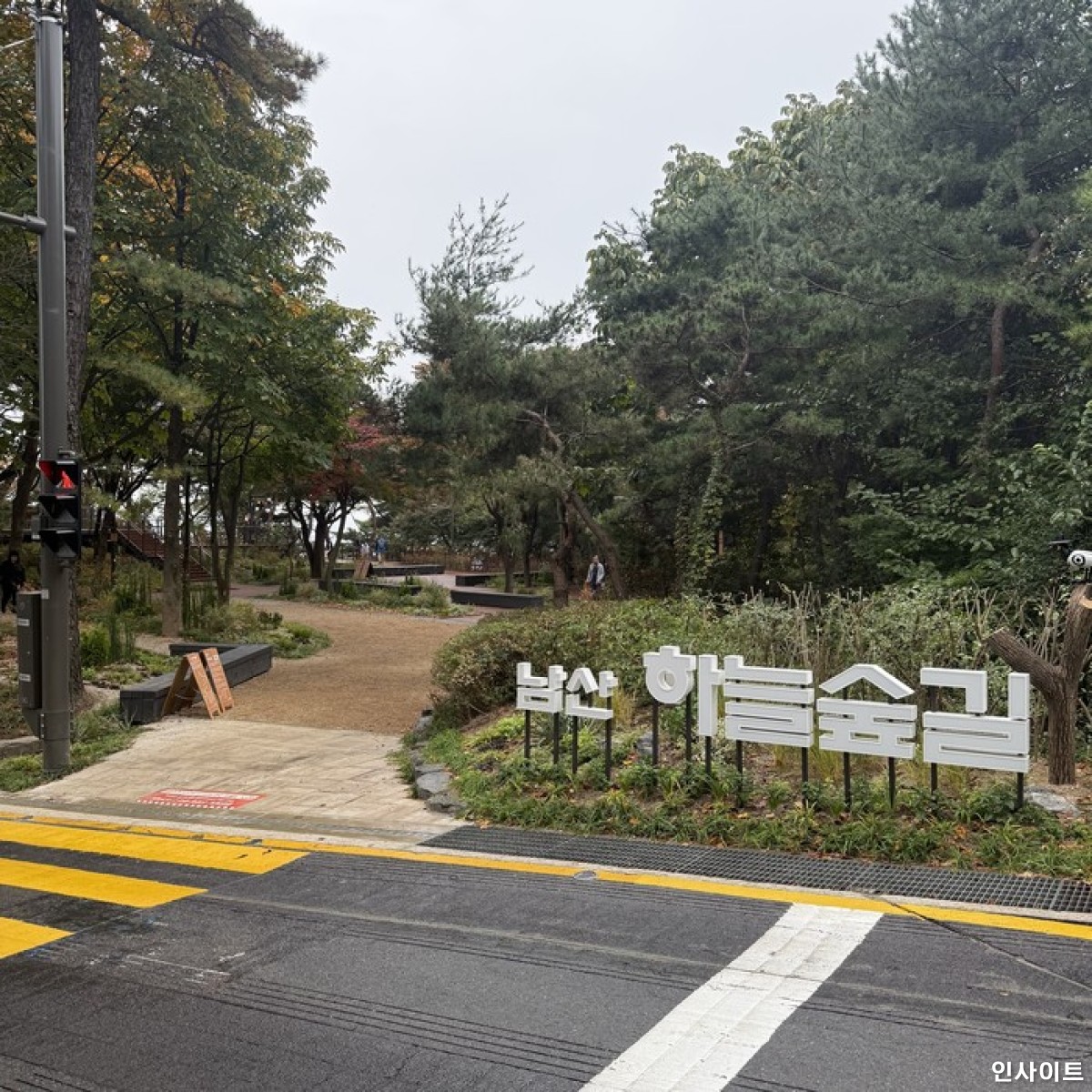 선택된 이미지