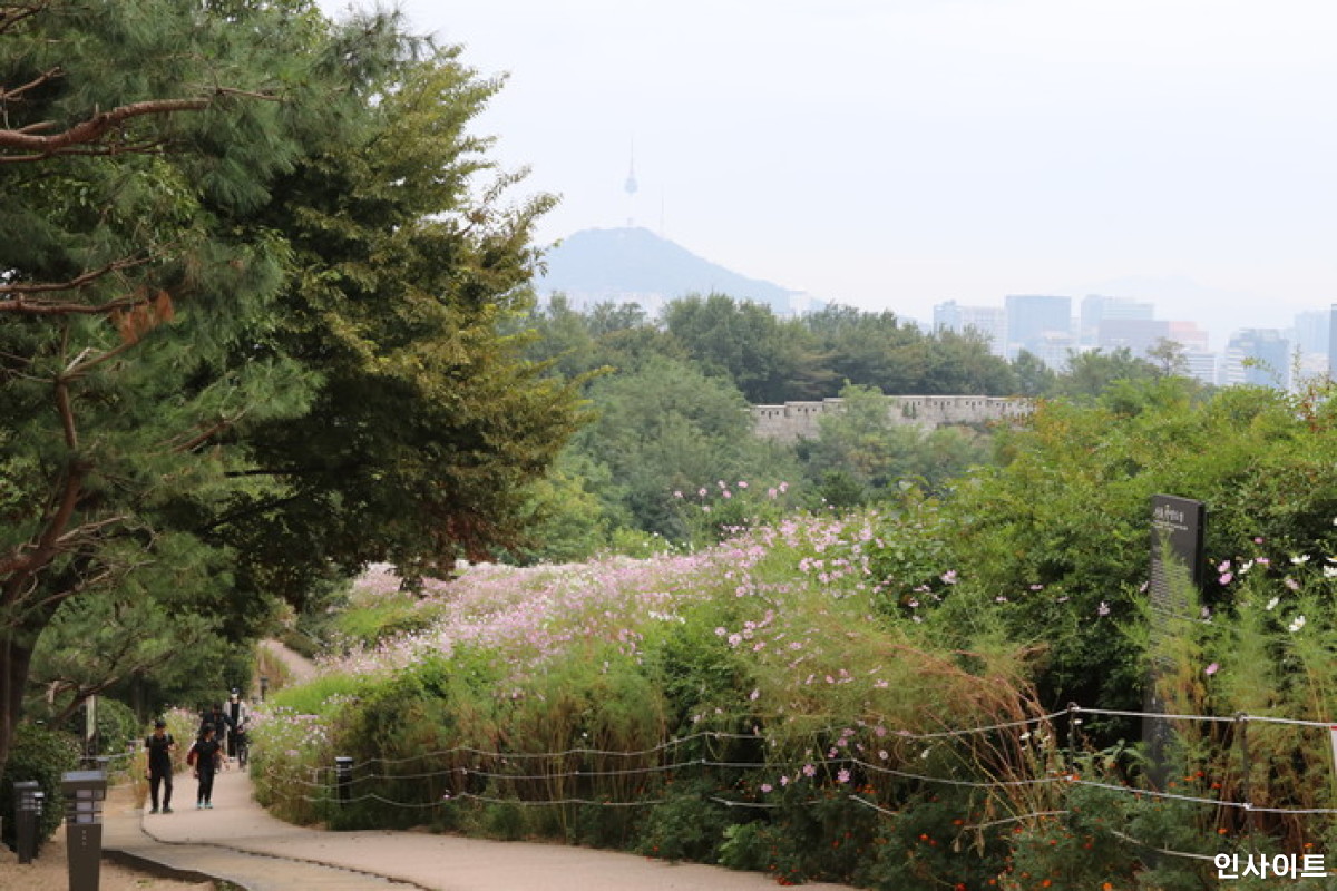 선택된 이미지