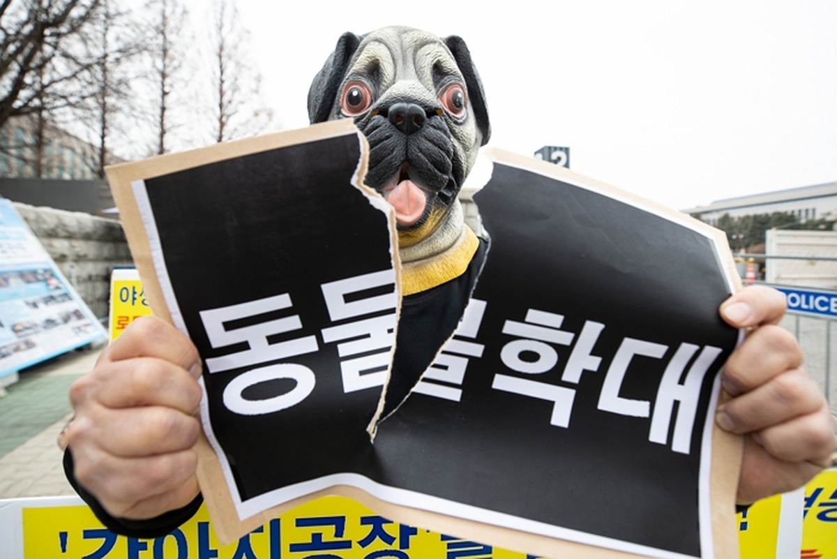 origin_동물학대금지.jpg