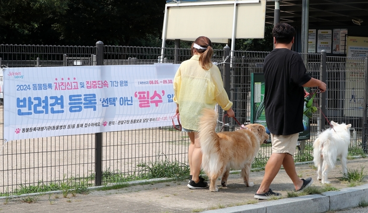origin_반려견자진신고하세요.jpg