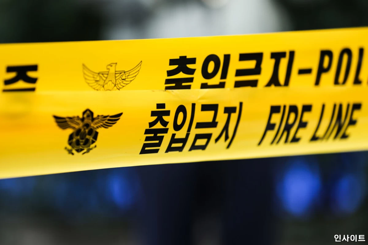 선택된 이미지