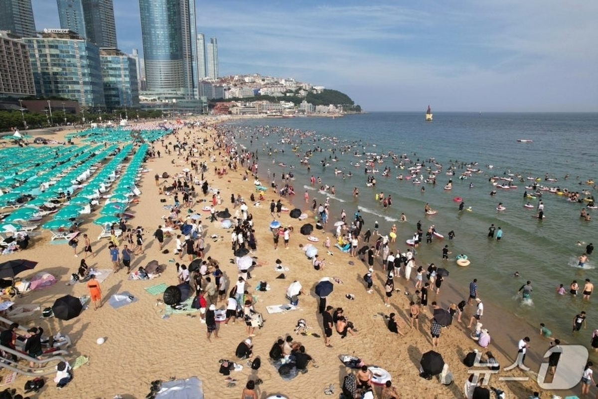 해운대구