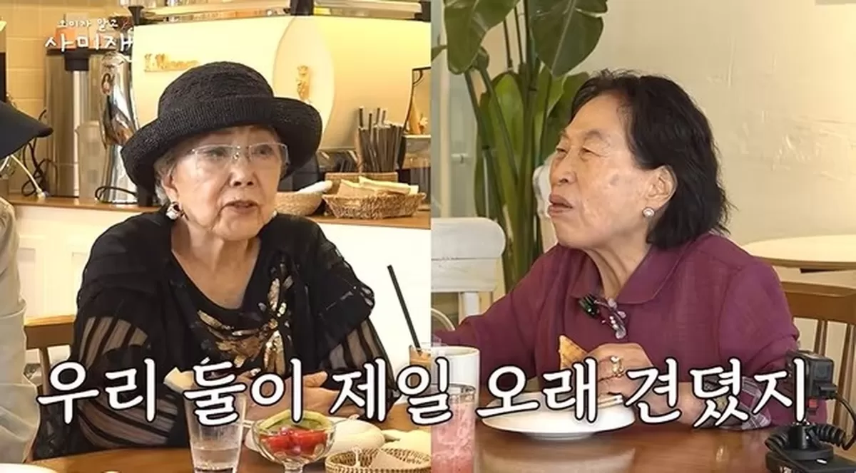 본문 이미지 - 유튜브 '오미자 말고 사미자' 영상 갈무리