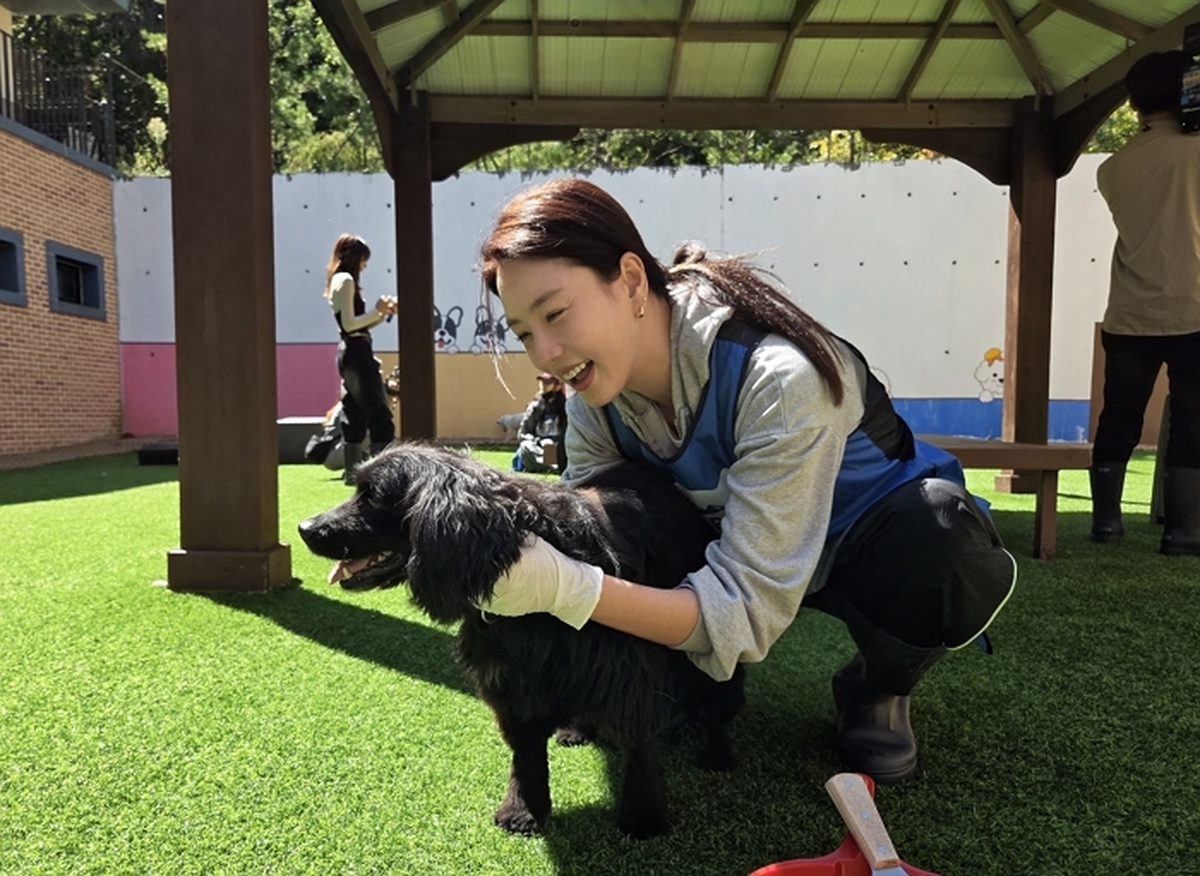 origin_직접만나보면생각달라져요…동물보호센터찾은배우들 (3).jpg