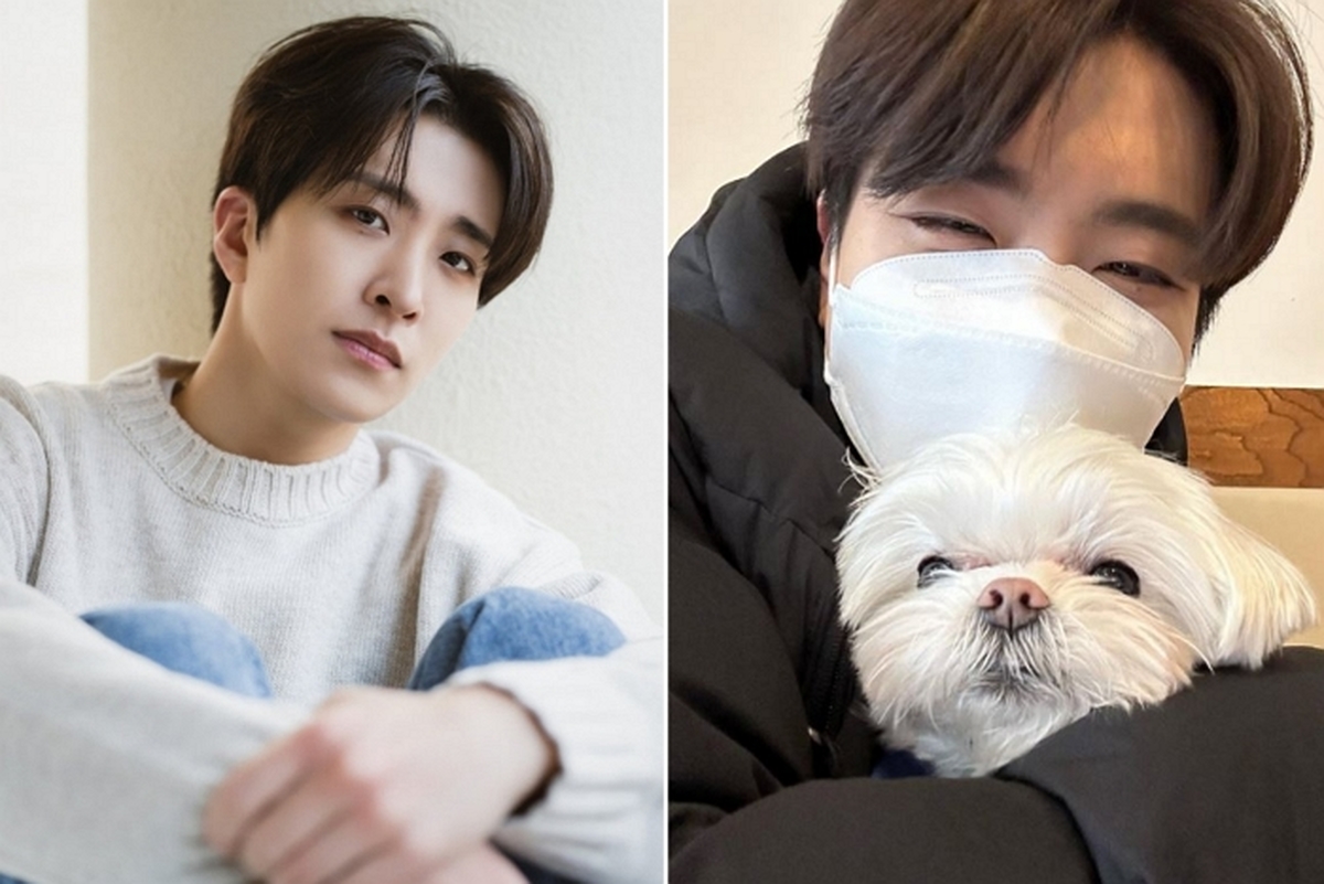 반려견 코코 떠나보낸 갓세븐 영재, 이번 생일에도 유기견 보호소에 1000만원 전했다