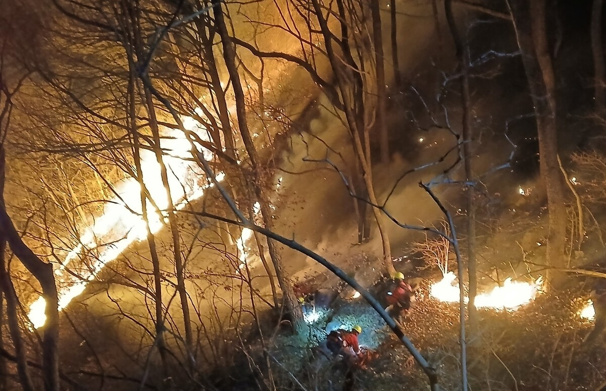 출소 5년 만에 또 산불 낸 ‘봉대산 불다람쥐’ 징역 12년 선고