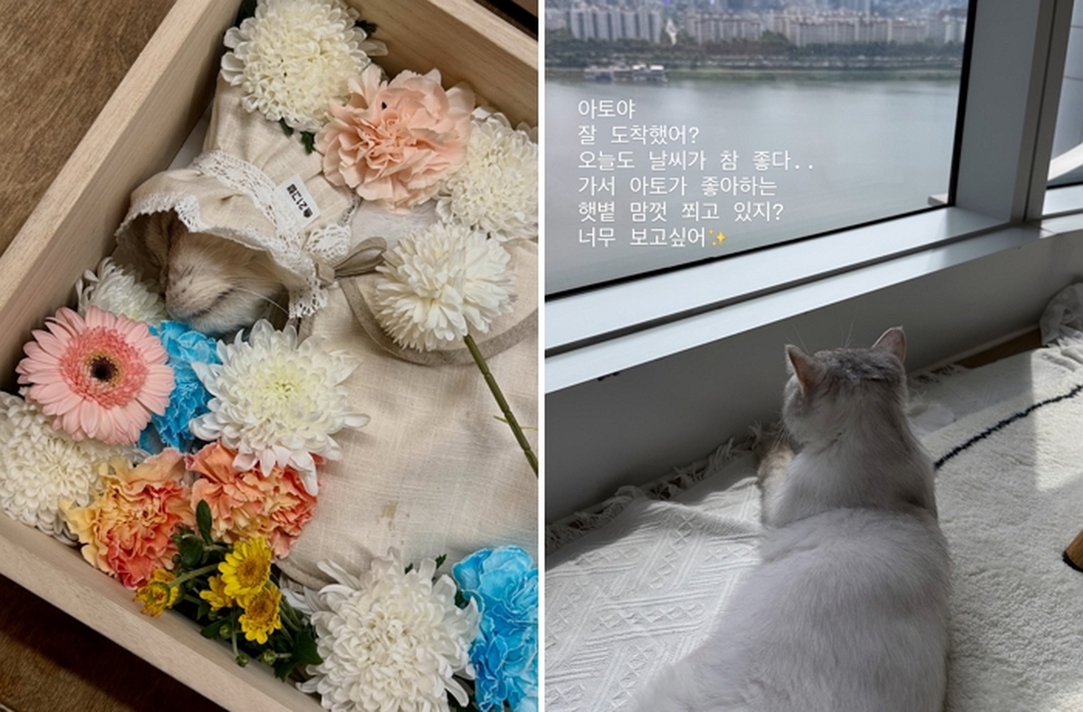 2026-09-22 13 28 31.jpg