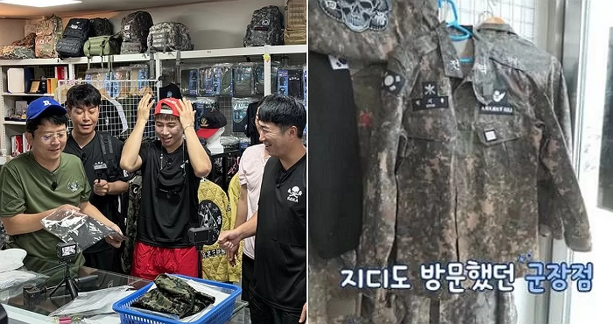 인사이트
