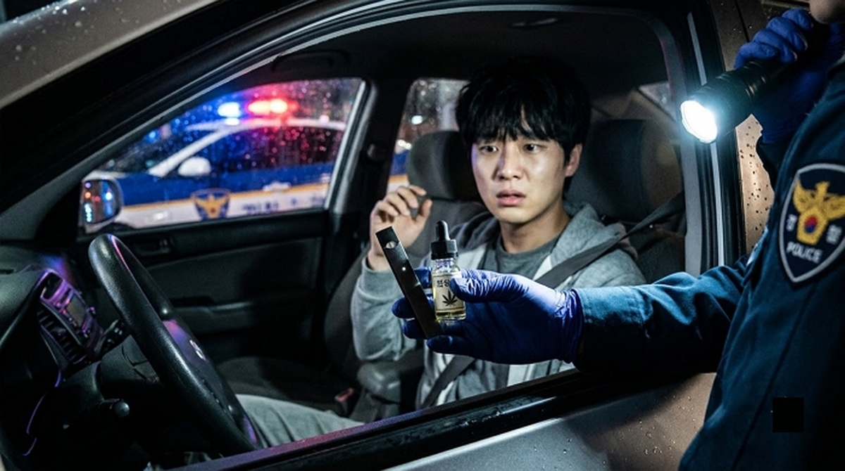 Police_searching_driver_for_cann…_20260922151329.jpeg